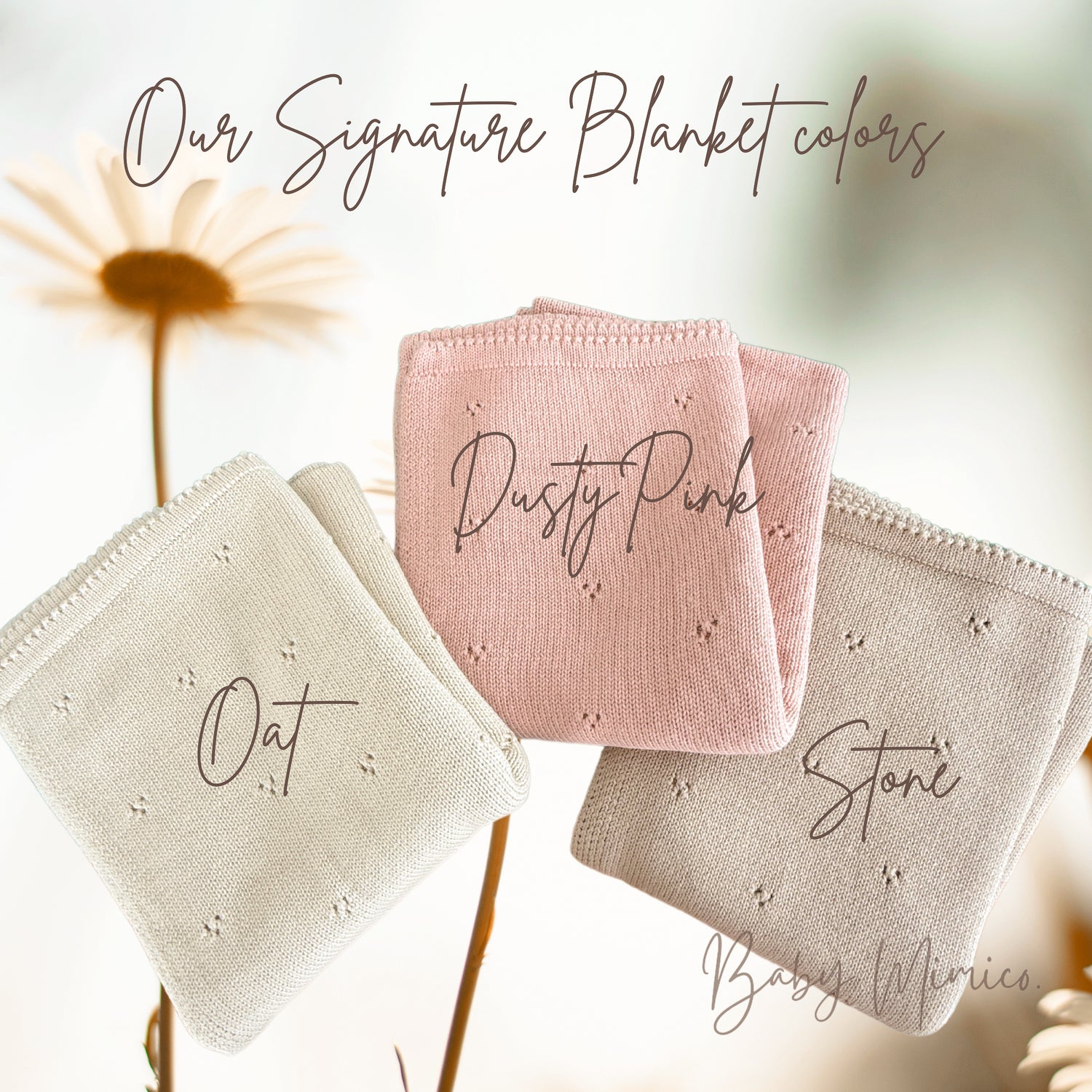 Pointelle Floral Embroidered Baby Blanket